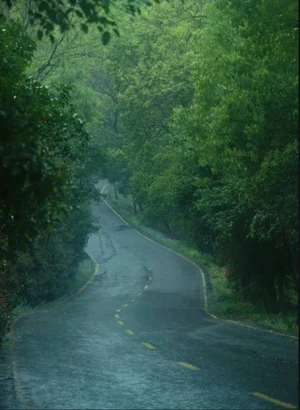 雨落