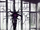 Entity 12