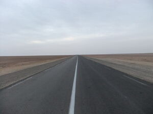 Level 50: The Moribund Highway, Backrooms Wiki