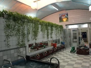 Uma foto da Makemake Area.