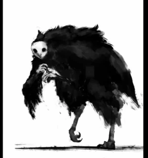 Old bird