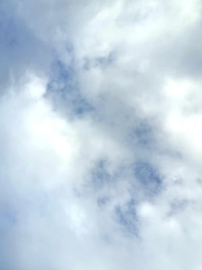 非处