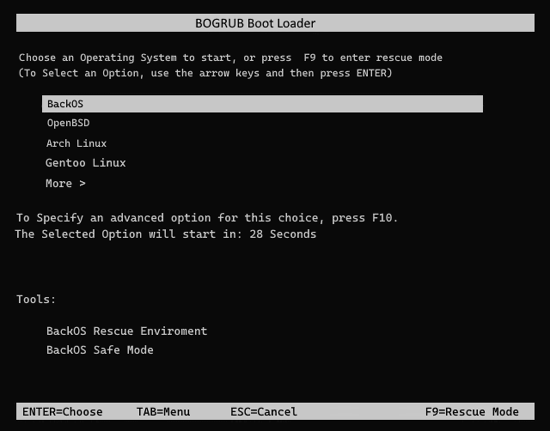 BOGRUB BackOS.png