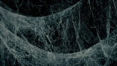 User:SetaCraft/Sandbox:Level 8