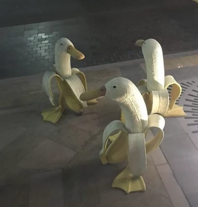 Banana ducks
