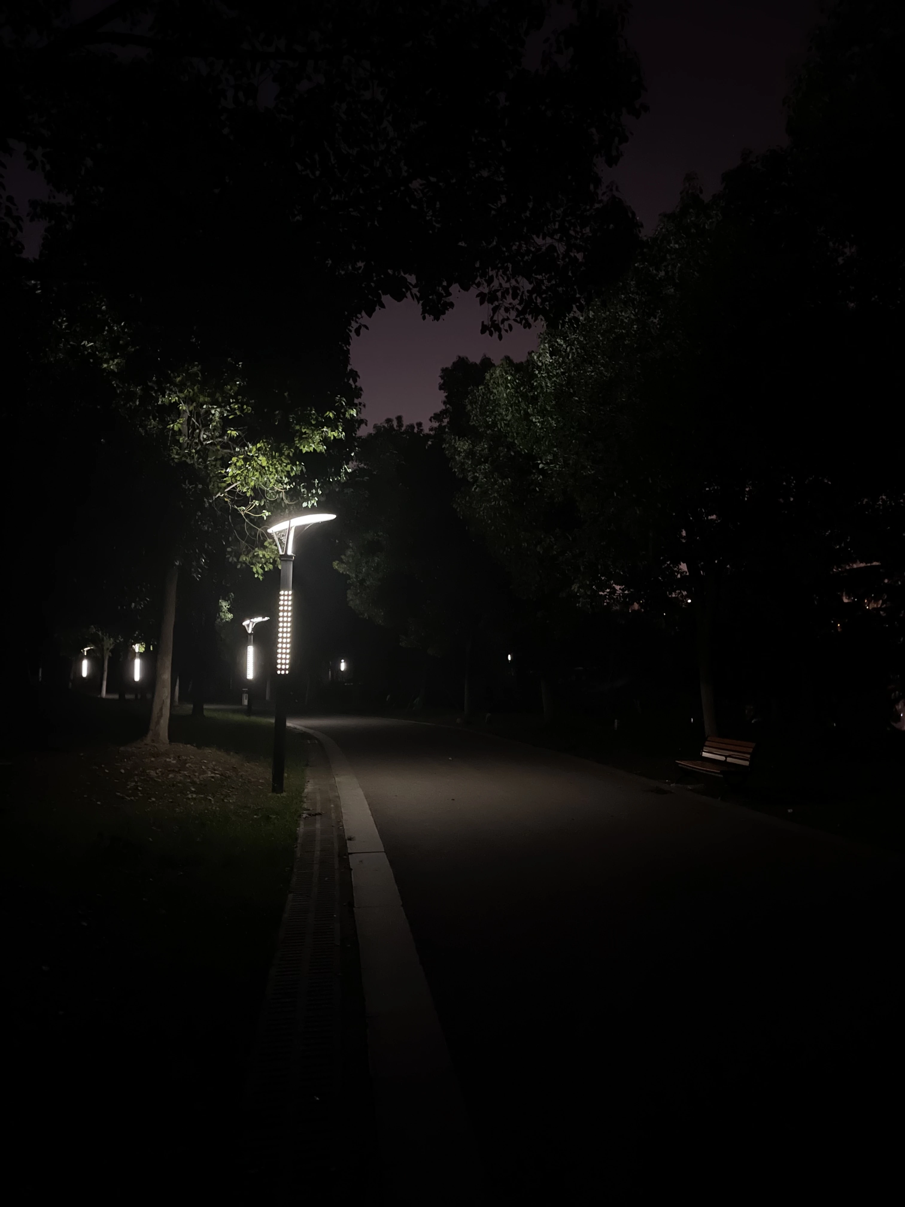 Level ZH 0:雾园| Backrooms Wiki | Fandom