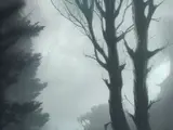 Level 278