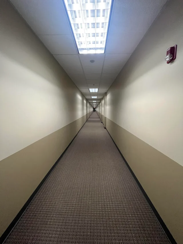 The Shifting Nexus Backrooms Wiki Fandom