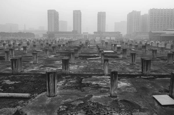 He-zhu-S9TVPpO77ps-unsplash