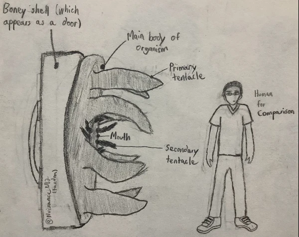 PredatoryDoorAnatomy
