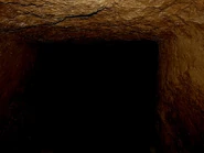 Level 1001 Section 3