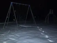 另一张未知的照片，据说是一名流浪者在一片雪地上找到的