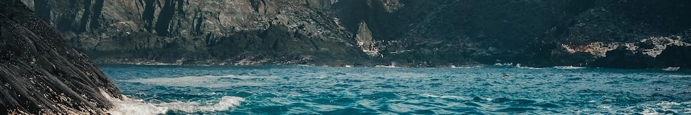 Rocky Sea Banner 2