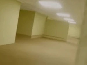 The aforementioned picture.