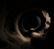 蚁巢.jpg (73 KB) 蚁巢.jpg由Qiyin-spring tide上传于2025年11月09日 16:05