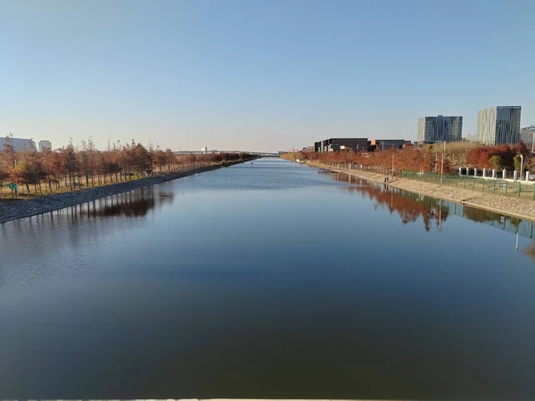 芦潮港