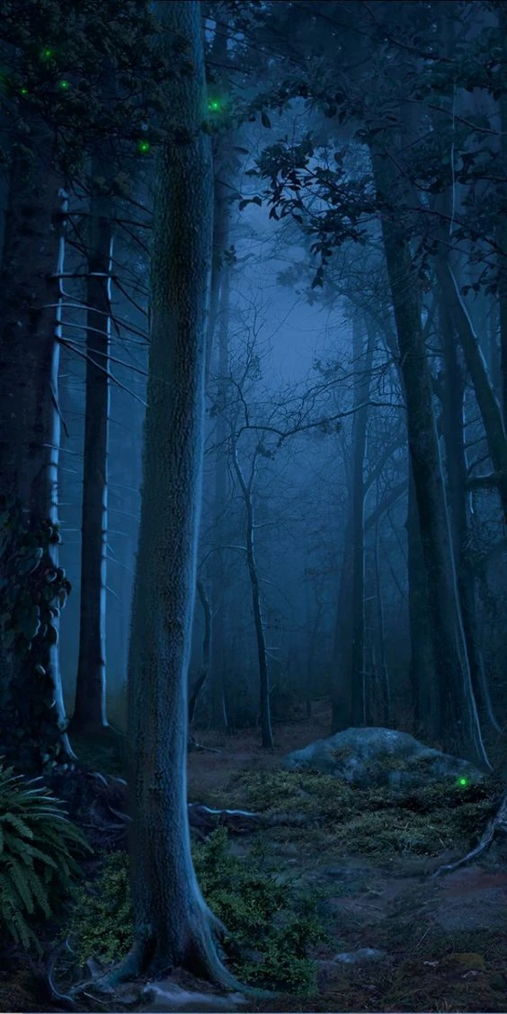 1b76bf959aa077d46752ea87cb562906