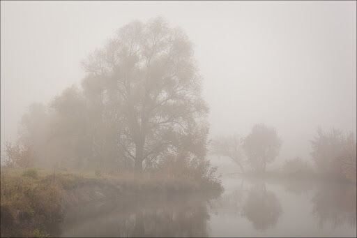 Level 4.2 Parking Lot Of Fog [Backrooms Wikidot] 