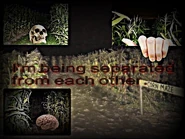 Hsqt6.jpg (90 KB) 作者:Ritima 主题:幽灵法则