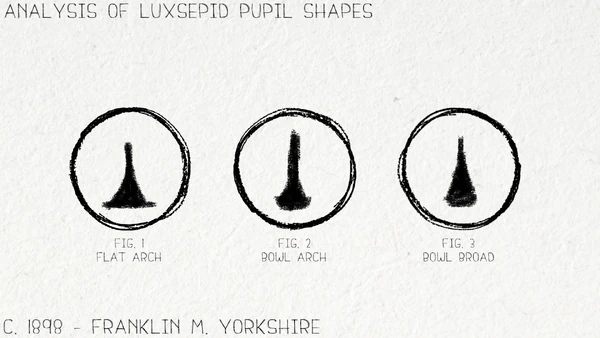 Lightlurker pupil thing