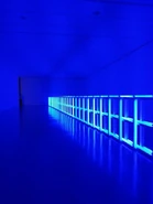 Imagen de Esperanza Baja en "La Noche Celeste".