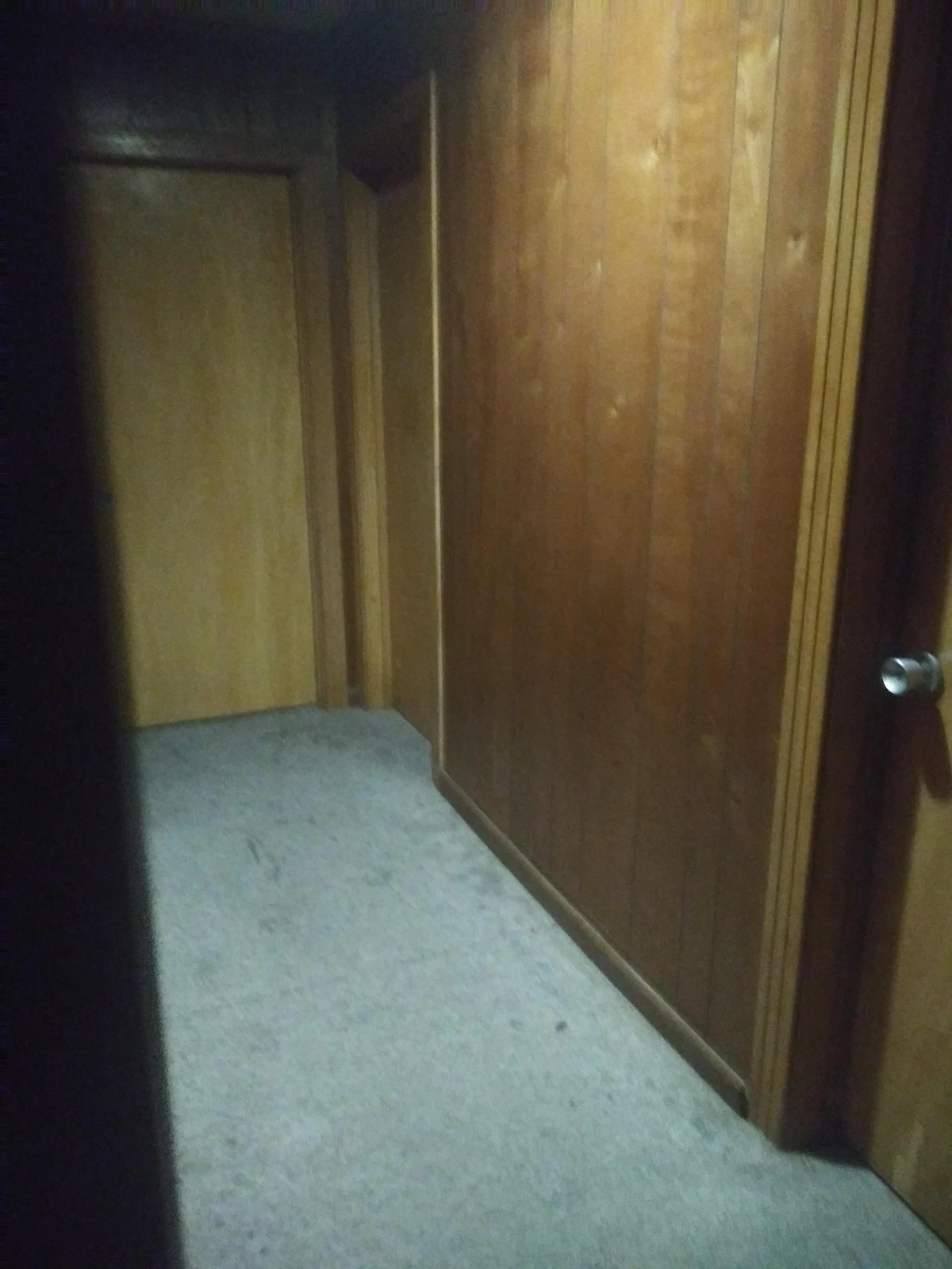 Nivel 27, "Los Woodrooms" Wiki Backrooms Fandom