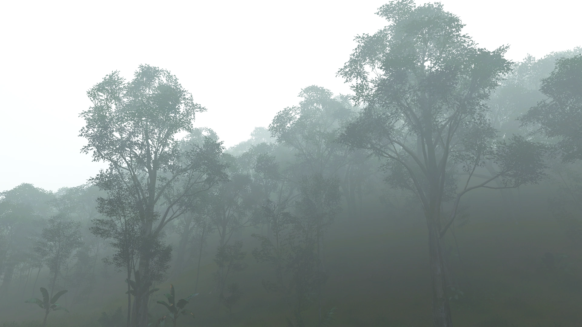 Lunonthisisthethirdone