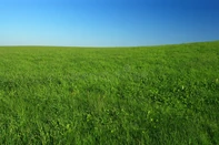 Level 138.1 "Touch Grass Therapy"