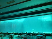 被顾客拍下的一张Level 88照片