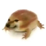 Doog2