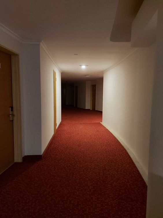 Level 5 terror hotel found footage backrooms #level5 #backrooms #found