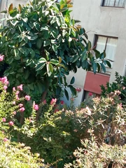 foto antes de que llegaran los partygoers