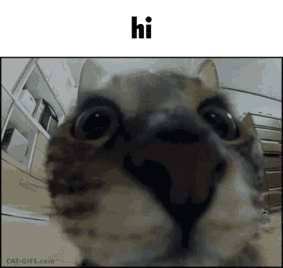 Hi-hello.gif