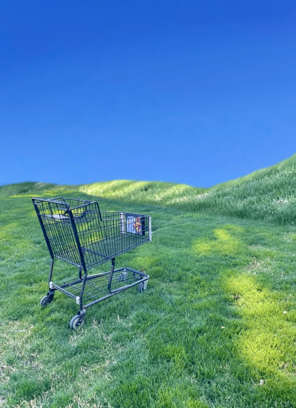 Level 657 "On small island live only one shopping cart." (その小さな島には