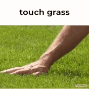 Touch grass.gif