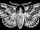 Entity 4