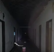 Artists Depiction of Symmetris' tail