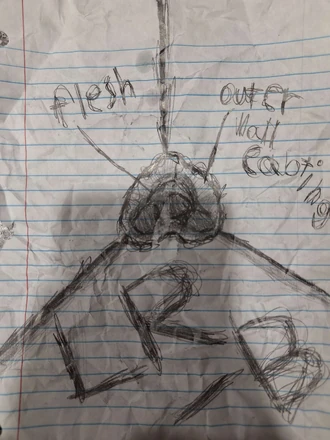 Art from an unknown wanderer explaining how LR-B looks