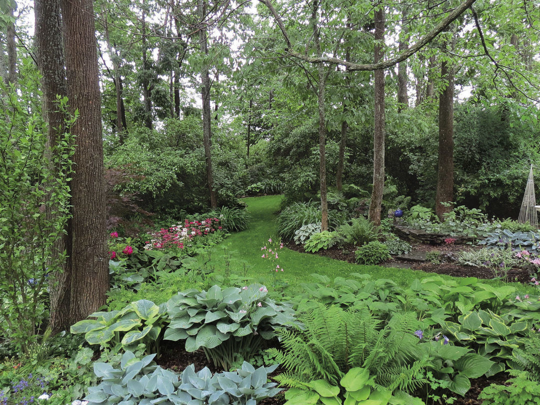 Would you hike This Backrooms forest? #backrooms #backroomsentities #v