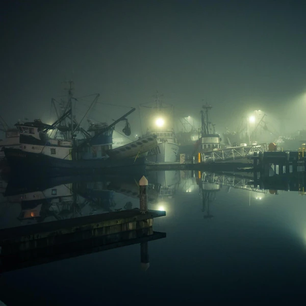 Forgotten Harbor