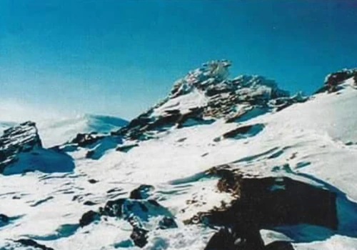 SEARCH FOR 647961746c6f76