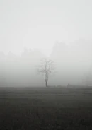 Camera 1040g3k831eu8m3mnmo705o8sv8h09fm1va17vlg edit 5191528045726.jpg (267 KB) Camera 1040g3k831eu8m3mnmo705o8sv8h09fm1va17vlg edit 5191528045726.jpg由Stellaryu上传于2025年11月09日 16:15