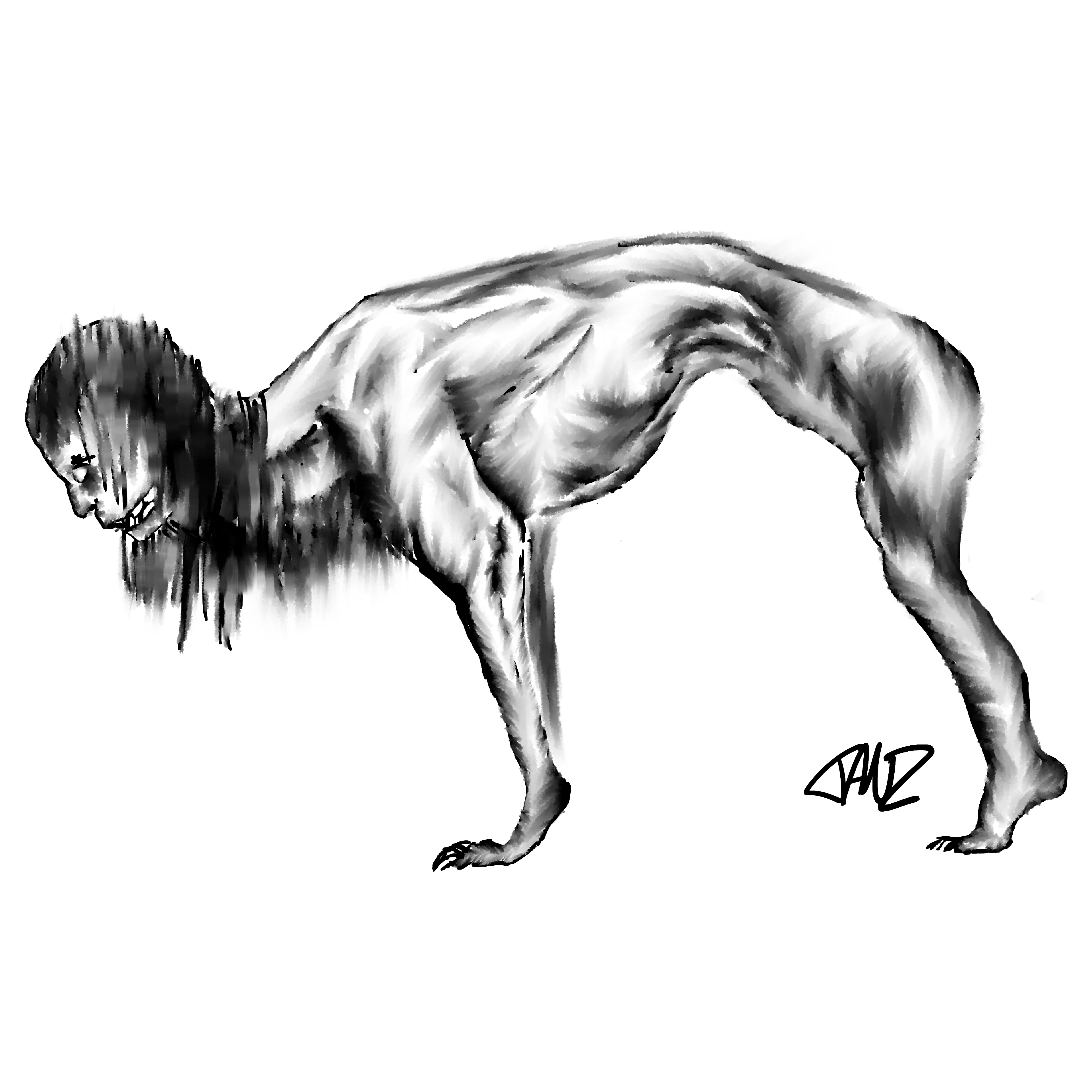 ハウンド1.png
