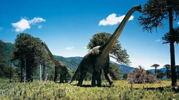 Brachiosaurus by willdinomaster55 .jpg