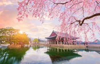 one of Many island Stops you might have to make here.