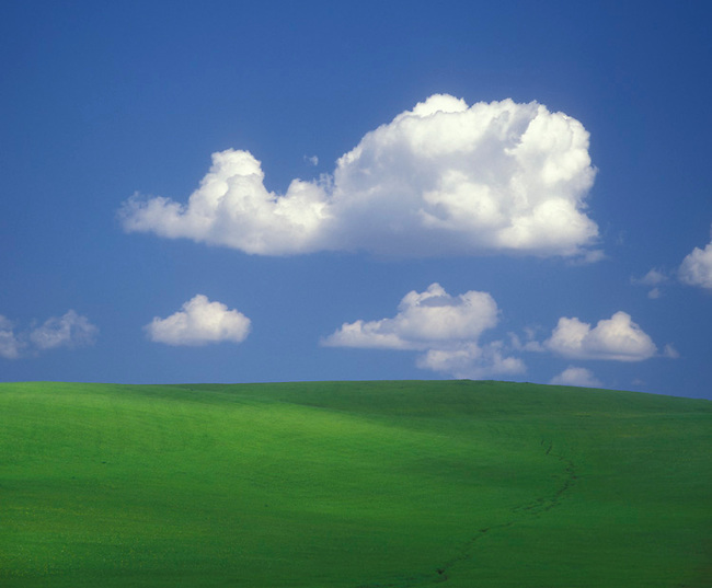 Vibrant roblox gfx with green grass landscape and blue sky