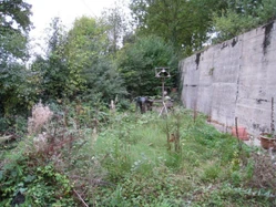 The photo depicts a small overgrown garden lined with bushes and on the right side a high concrete wall.