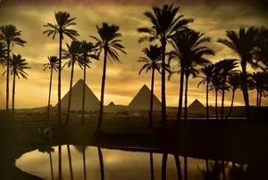 Fotografía de un oasis.