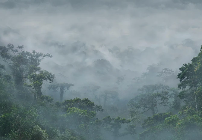 A drone shot of Level 427.