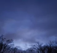 The forest outside the warehouse in winter.